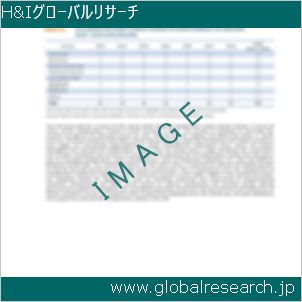 グローバルリサーチ調査レポートのイメージ